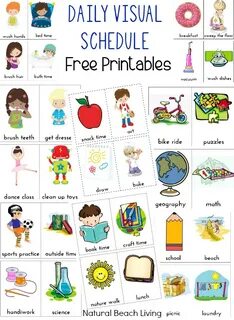 Daily routine cards