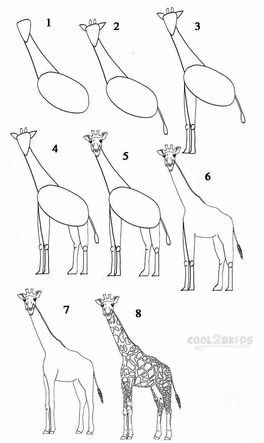 Жираф поэтапно для детей. Жираф рисунок. Нарисовать жирафа. Схема рисования жирафа. Нарисовать жирафа поэтапно.