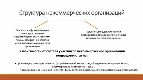 Аудит некоммерческих организаций