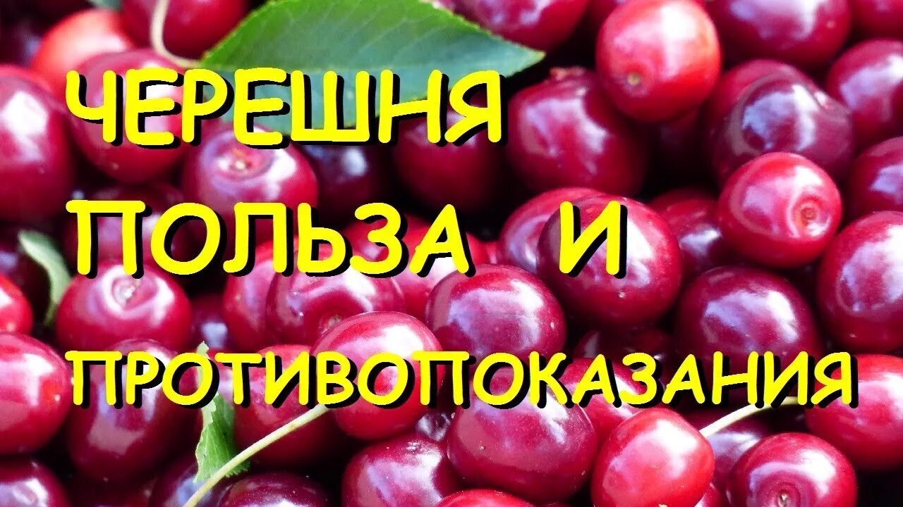 Польза черешни. Черешня польза. Витамины в черешне. Чем полезна черешня. Что полезного в черешне.