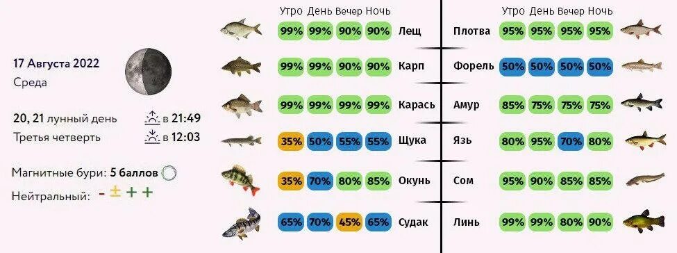 Клёв рыбы по лунным фазам. Прогноз клева рыбы скрипт. Клев рыбы по фазам Луны. Клев рыбы в Бронницах. Прогноз клева каменск