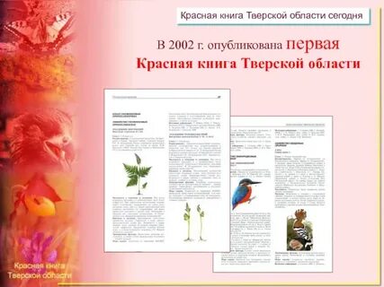 Тверская красная книга