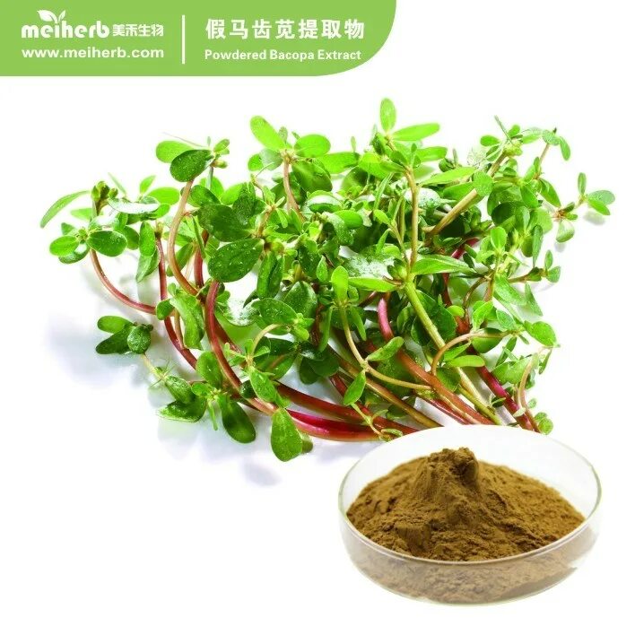 Бакопа монье. Kfd bacopa monnieri (90 таб). Экстракт бакопа монье. Kfd bacopa monnieri (90 таб). Бакозиды.