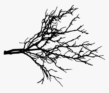 Related branch