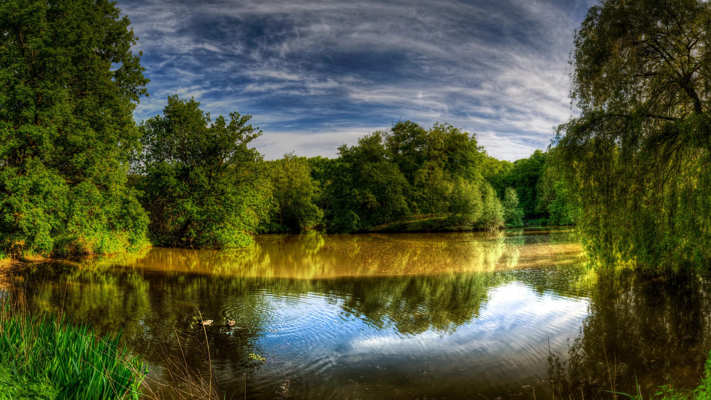 St Stephen's Green (freebie) by boldfrontiers on DeviantArt Stock pictures, Gree
