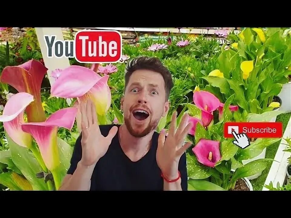 Нико гран канария ютуб. Нико гран канария ютуб. Нико гран канария ютуб. Нико гран канария ютуб. Нико гран канария ютуб.