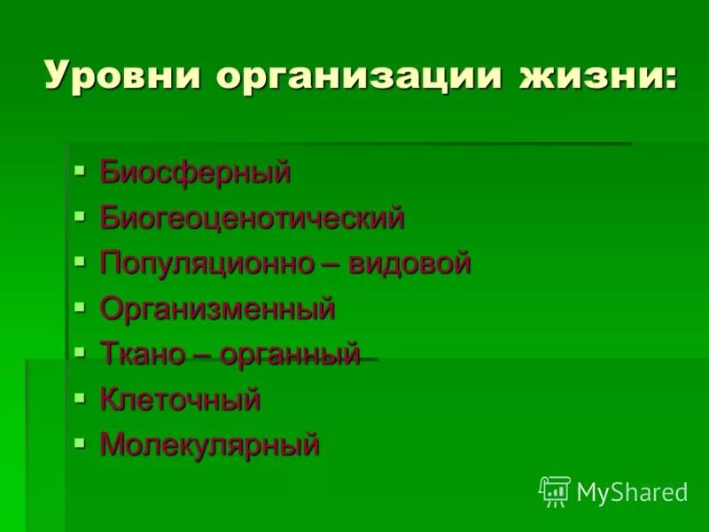 Рост и развитие уровень организации. Рост и развитие уровень организации