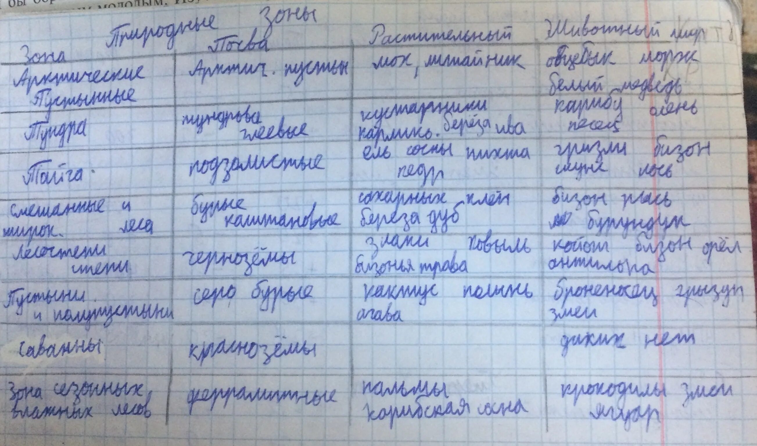 Природные зоны Северной Америки таблица. Природные зоны Северной Америки Талица. Характеристика природных зон Северной Америки таблица. Природные зоны Северной Америки 7 класс таблица.