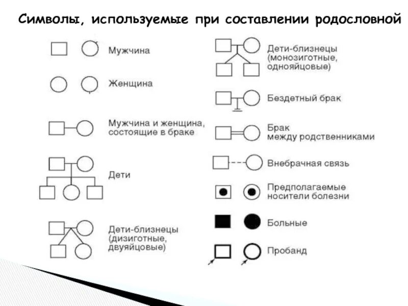 Знаки родословной. Знаки родословной. Основная схема генеалогического метода. Генеалогический метод обозначения. Генетика условные обозначения.