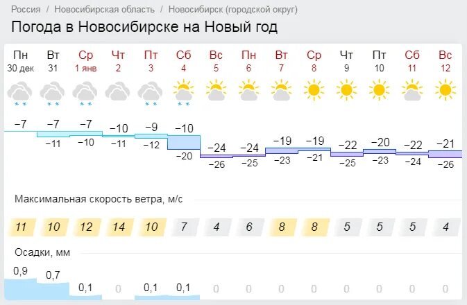 Прогноз погоды бийск по часам. Погода на новый год в Новосибирске. Погода в Бийске на 1 декабря. Бийск погода на декабрь. Погода в Новосибирске на 31 июля.