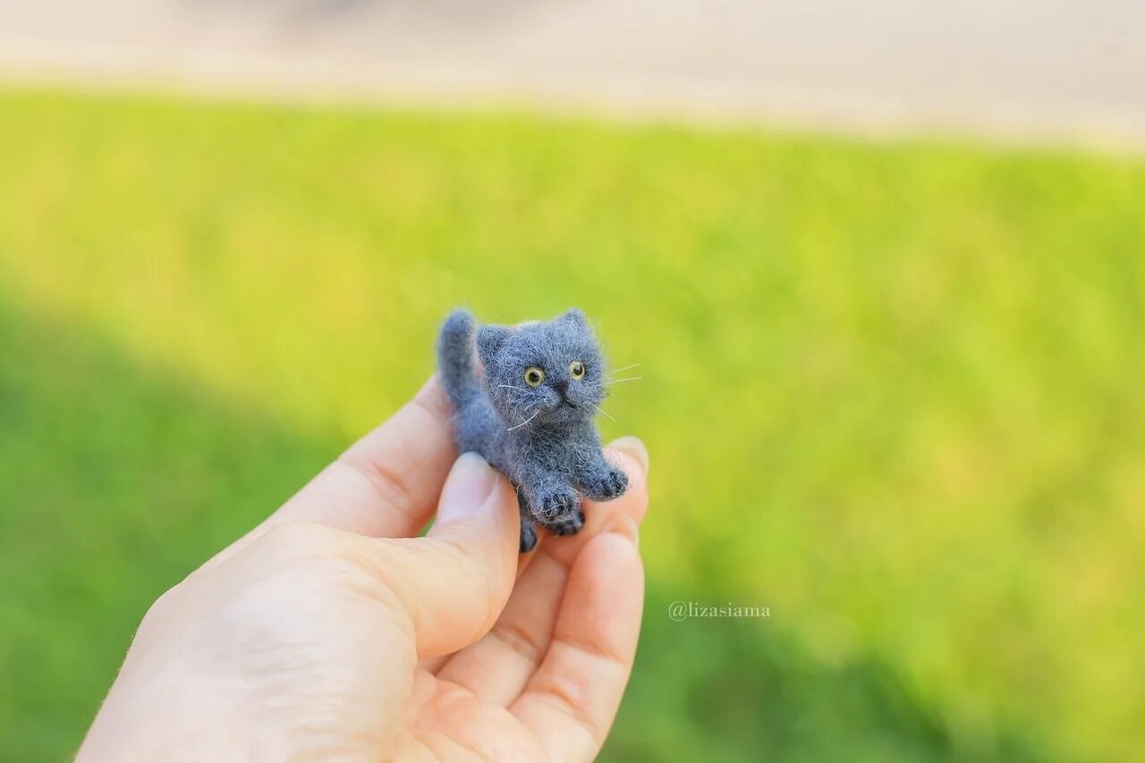 Микро кошки. Micro cat. Миниатюрные кошки. Микро кот. Мини кошка.