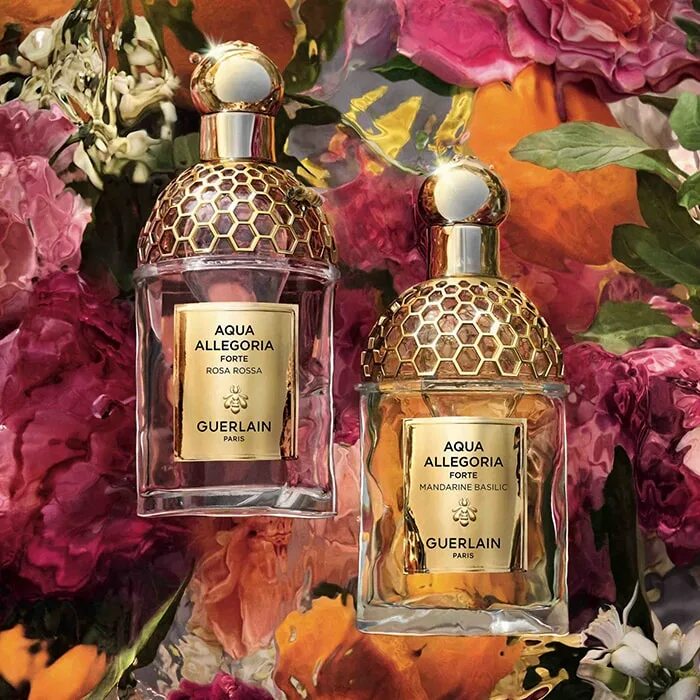 Guerlain Aqua Allegoria Forte Mandarine basilic. Духи Guerlain Aqua Allegoria Mandarine-basilic. Guerlain Aqua Allegoria Forte. Guerlain Paris Aqua Allegoria. Туалетная вода aqua allegoria mandarine