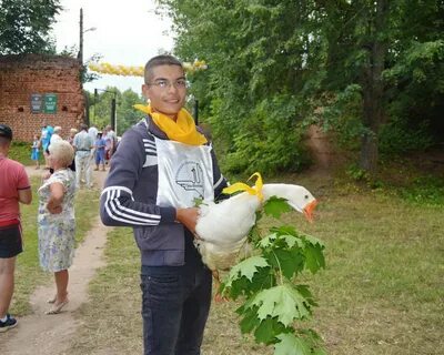 День гуся железного