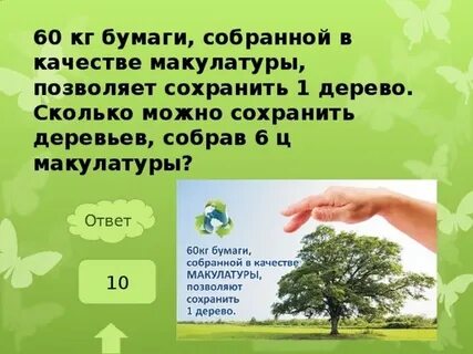 Сколько бумаги из 1 дерева
