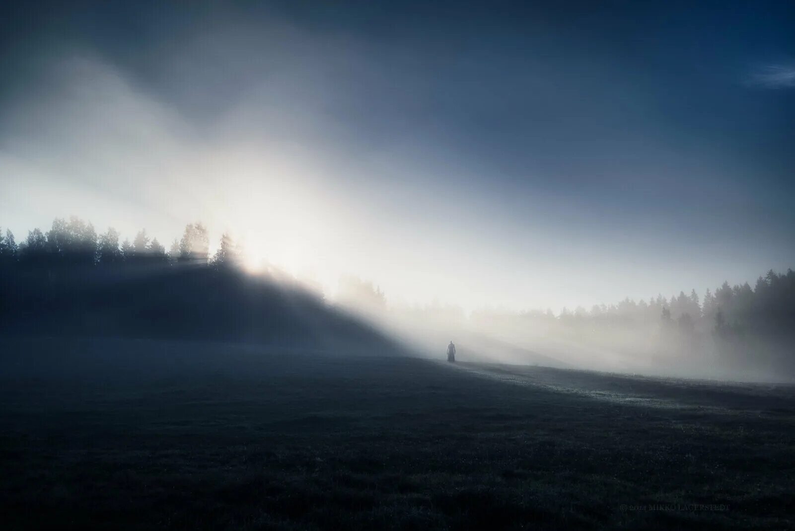 Туман и исчезновение людей. Дерево во мгле. Lost in the fog. Человек в темном лесу. Безжизненный лес.