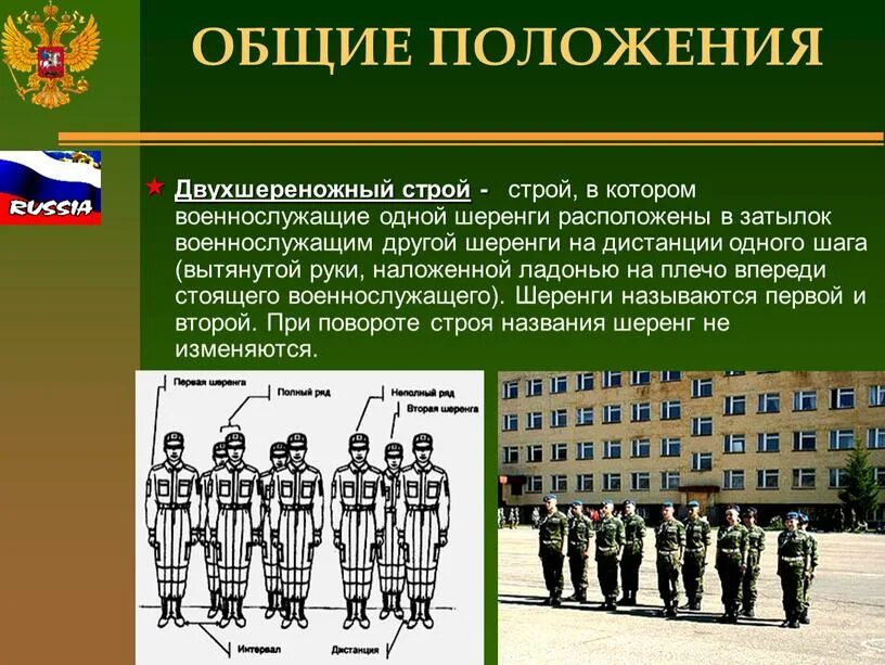 Виды строя шеренга