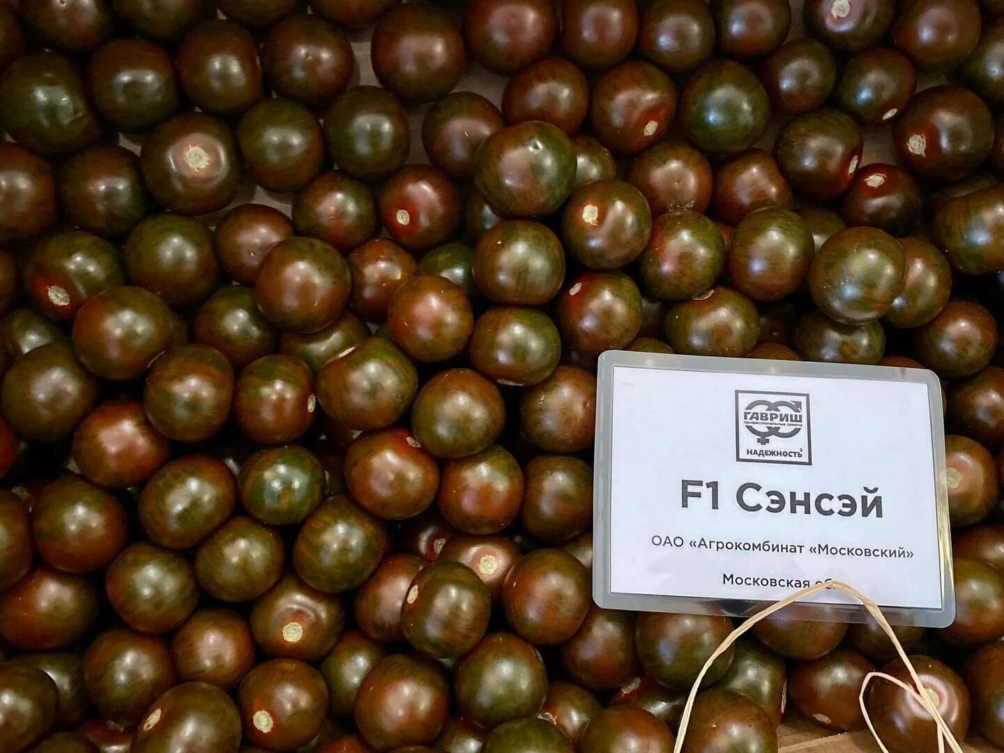 Томат чудо уолфорда. Томат чудо света лимон-лиана. Томат восьмое чудо света. Томат чудо света лиана. Томат чудо света лимон-лиана.