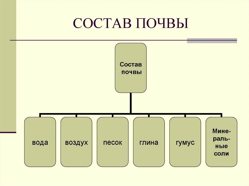 Схема состав почвы 8 класс география. Состав почвы схема 8 класс. Состав почвы 8 класс. Состав почвы 6 класс биология. Состав почвы 6 класс география