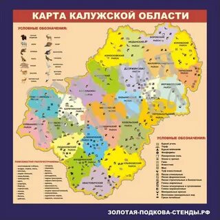 Прогноз калуга и калужская область
