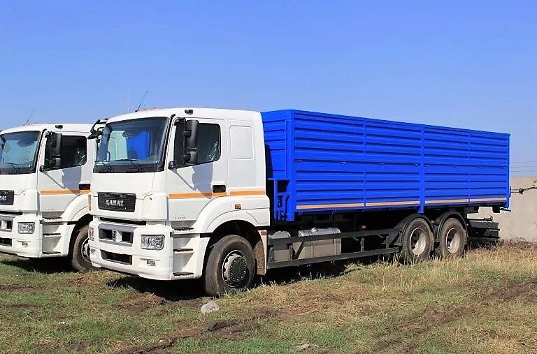 Камаз 65117 с прицепом зерновоз новый. Камаз 65111 самосвал сельхозник. Камаз 6520 зерновоз с прицепом. Камаз 65115 зерновоз. Камаз 65117 бортовой зерновоз.