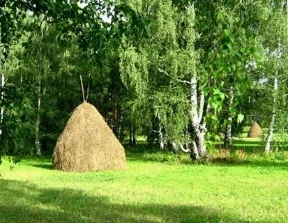 Покосные ложки это