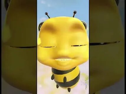 Шими шими я