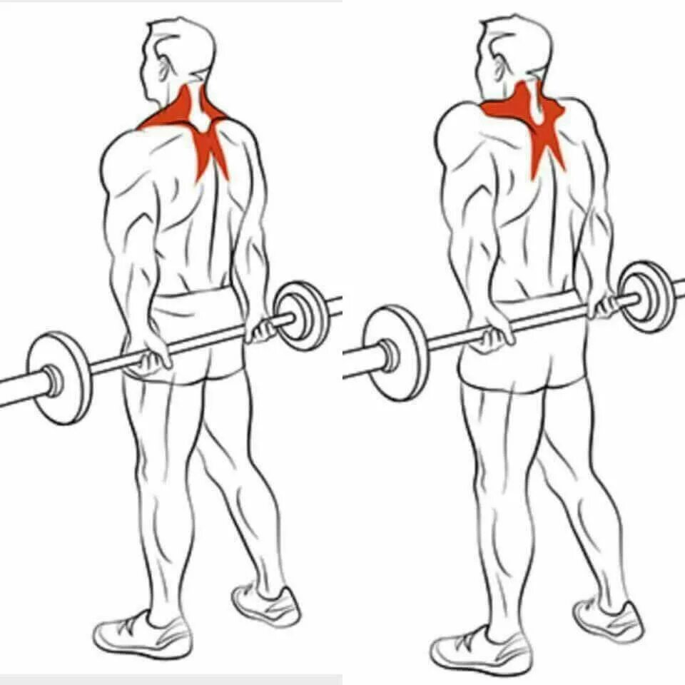 Шраги (трапеции) со штангой стоя.