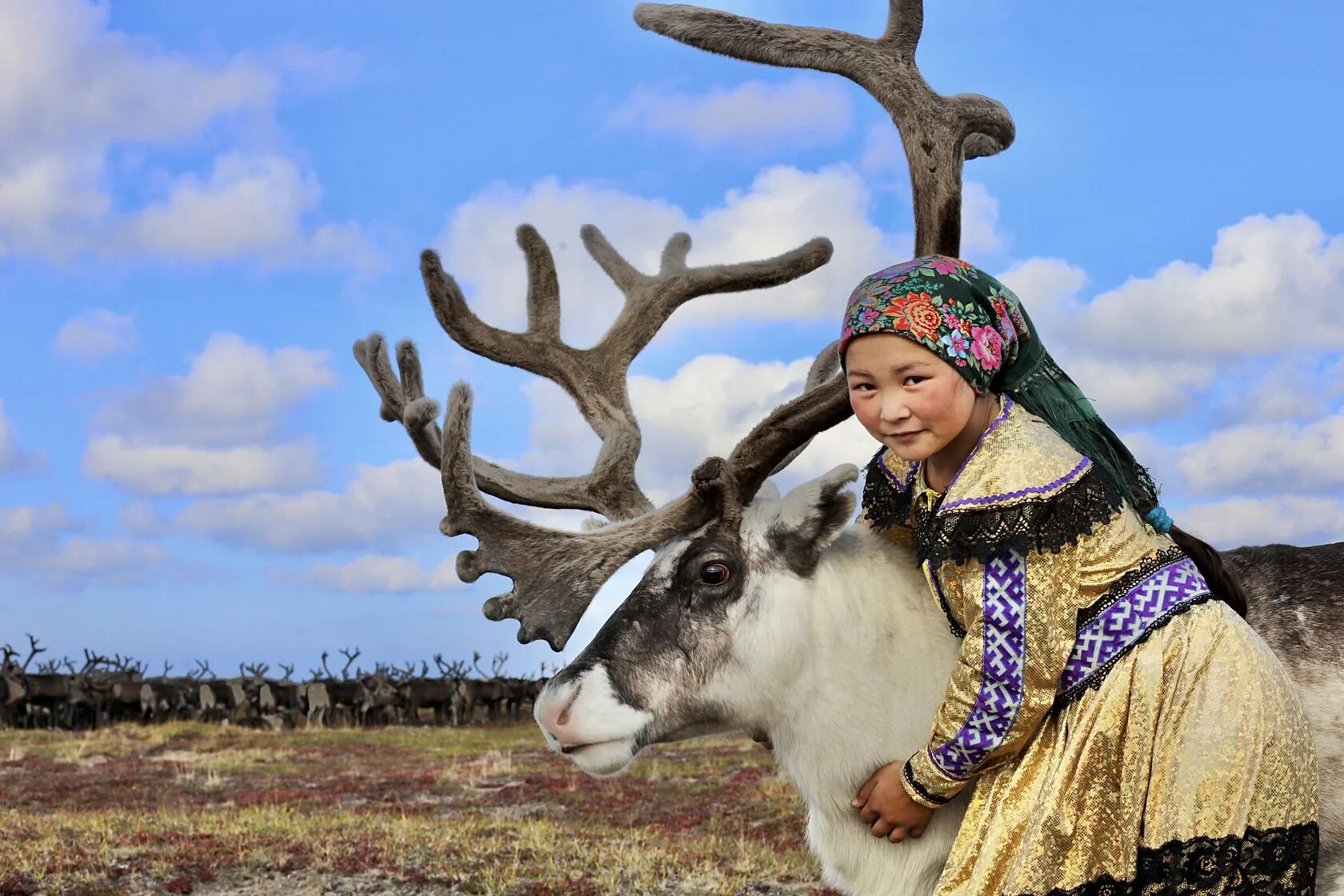 Народы севера ханты. Коренные народы малочисленные хмао ханты. Ханты, манси, коми, селькупы, ненцы. Коренные народы хмао манси. Народность манси.