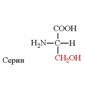 Серин аминокислота