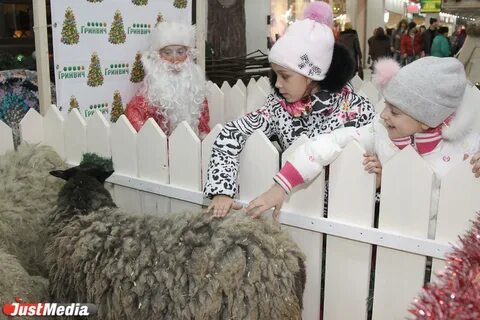 Новый год в зоопарке