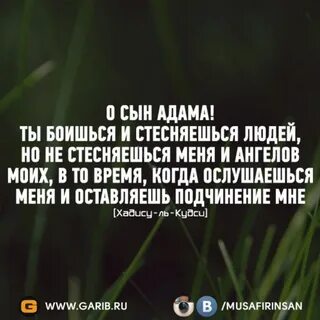 Ангелов хадисы