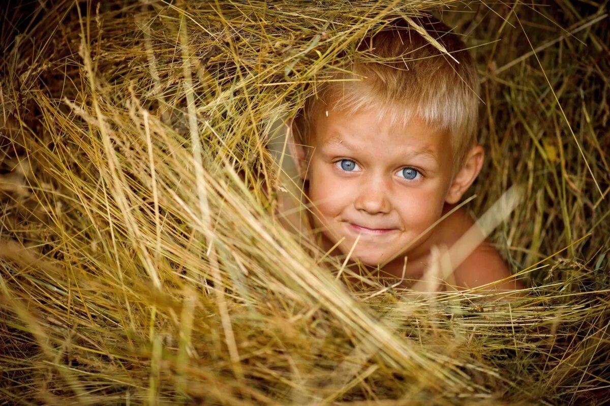Собралась вся деревня мальчишки девчонки бабы вдруг. Собралась вся деревня мальчишки девчонки бабы вдруг. Гдз по русскому языку 9 класс бархударов 214. Детство в деревне. Собралась вся деревня мальчишки девчонки бабы вдруг.