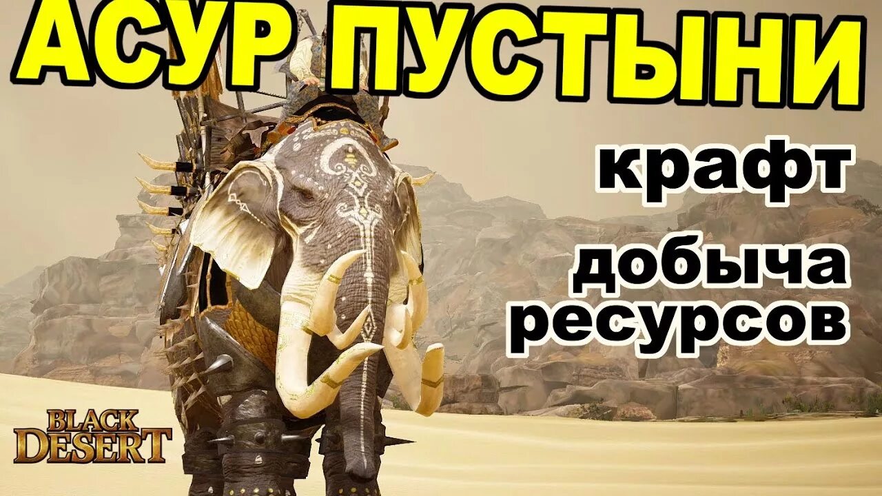Носорог бдо. Гильдийные боссы бдо. боссы пустыни. сертификат на слона в black desert. гильдейный слон чем кормить бдо.