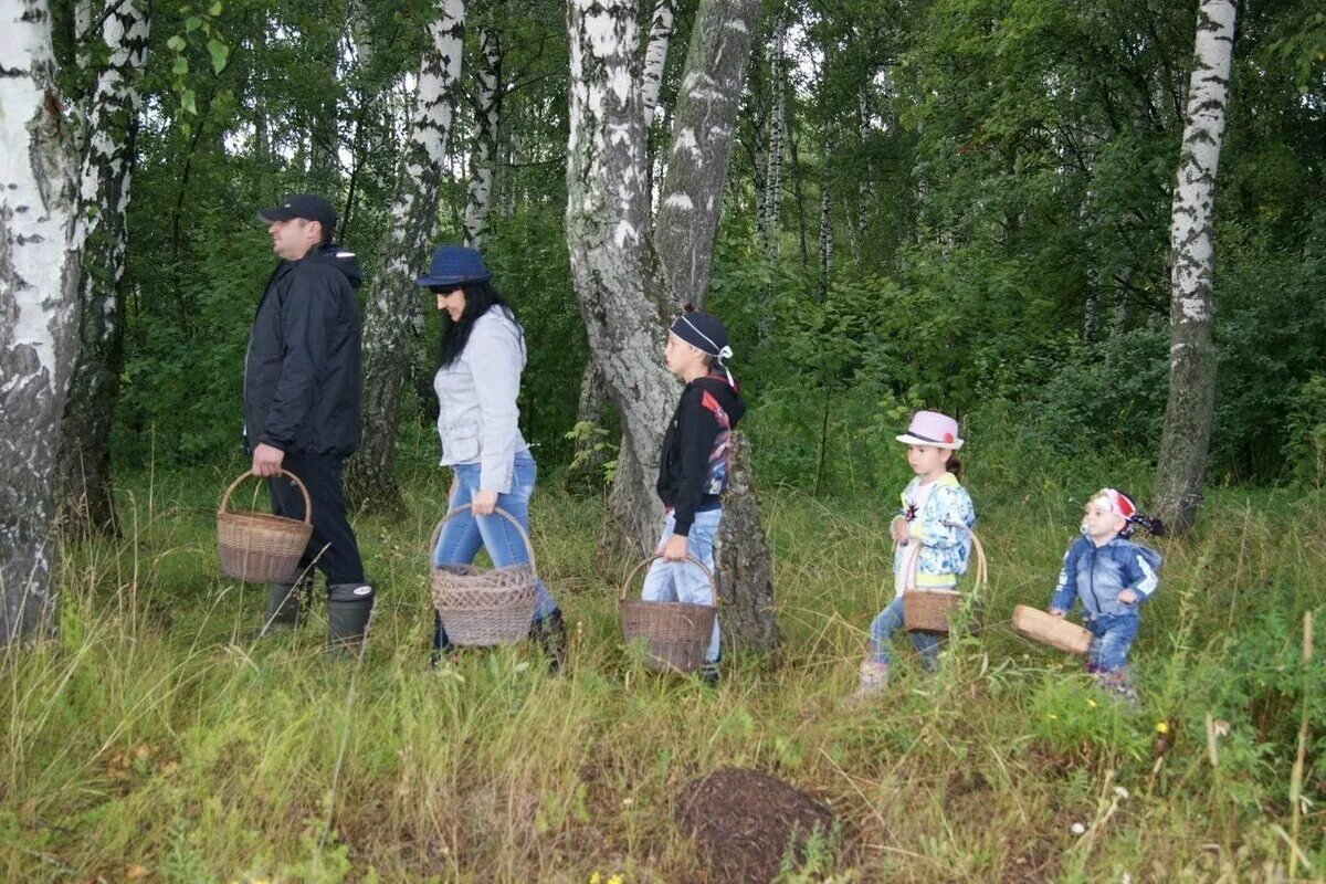 Поход за грибами. Поход в лес за грибами. Семья в лесу за грибами. Сбор грибов в лесу.