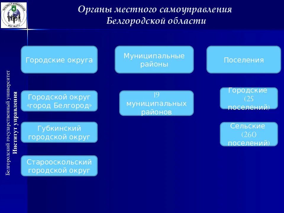 Местные органы власти могут. Структура органов власти Белгородской области схема. Структура органов власти муниципального образования. Система органов гос власти Белгородской области. Структура местного самоуправления.