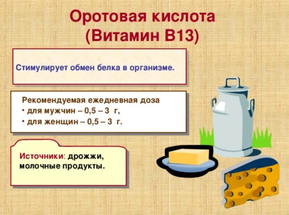 Витамин b13 оротовая кислота. В13 (оротовая кислота) суточная потребность. Витамин в13, оротовая кислота формула. Витамин в13 препараты. Б 13 в продуктах