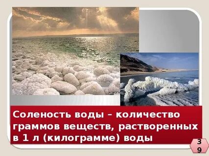 Как отличается соленость