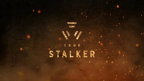 Сталкер true stalker