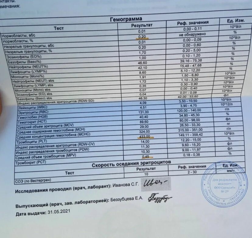 Платный врач гематолог. Нормобласты в ОАК. Нормобласты в крови повышены у ребенка. Нормобласты показатель крови. Повышены нормобласты в анализе крови.