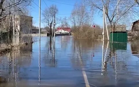 Крыловка брянск