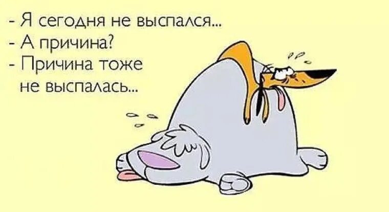 Ну выспалась