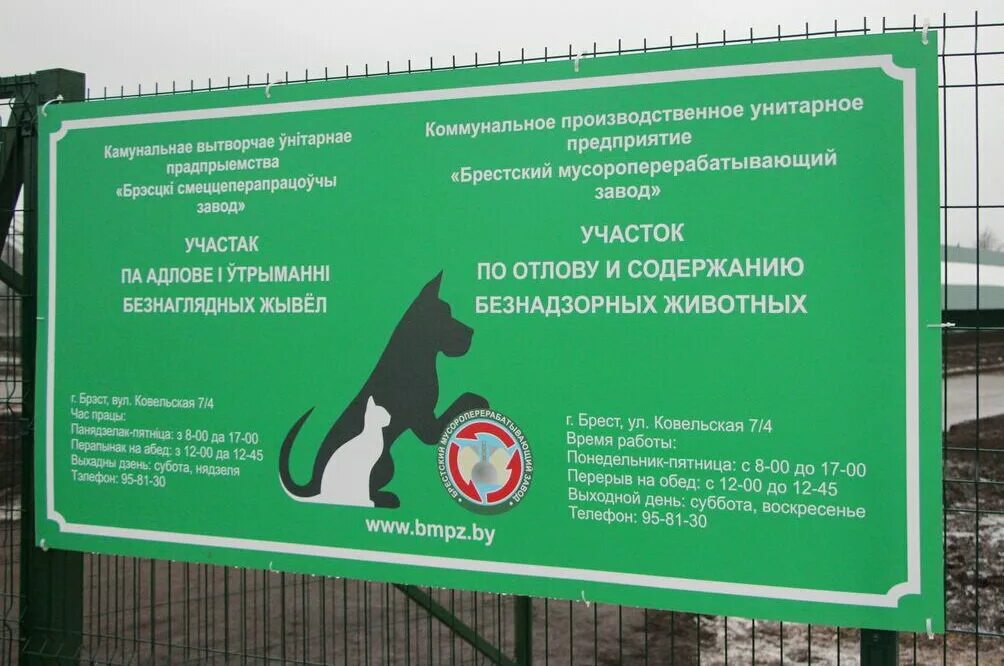 Помощь животным видное