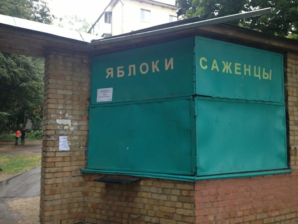 Станция черская. Опытная станция садоводства екатеринбург. Тимирязевская академия питомник. Плодово-ягодная станция красноярск. Россошанская плодово-ягодная станция.