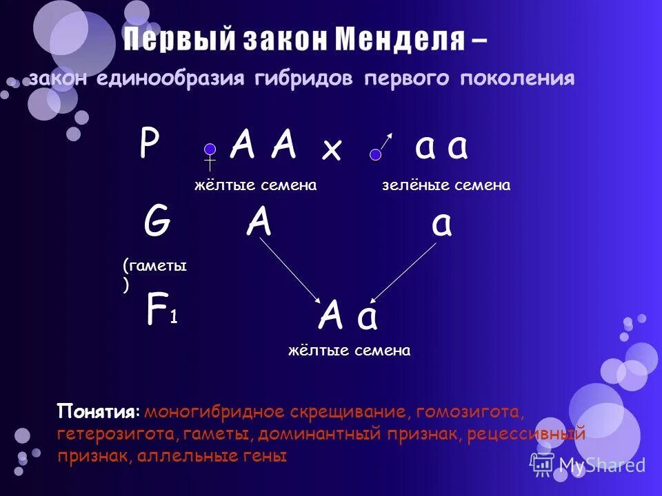 У гороха доминантный признак желтые семена