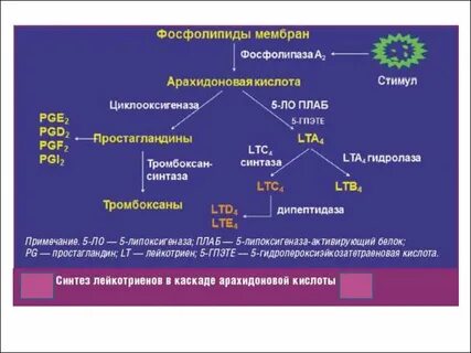 Синтез простагландинов