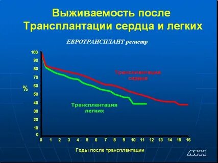 Сроки жизни после