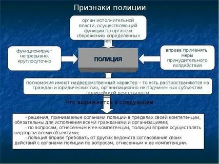 Взаимодействие полиции с органами государственной власти