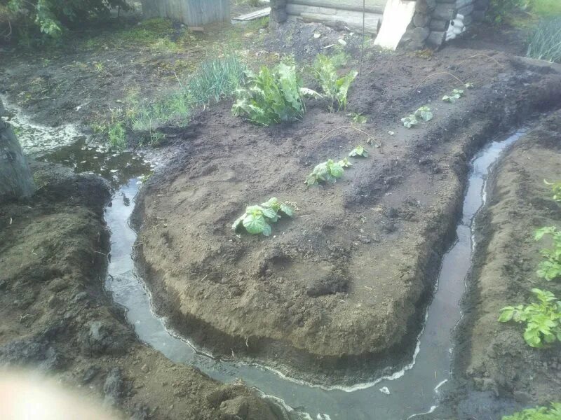 Воды арыка. Отводной арык природных остатков. Пруд арык Ягодное. Крутихинский Родник.