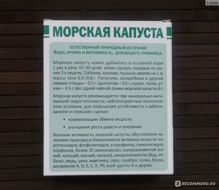 Можно ли собакам морскую капусту. Морская капуста витамины и минералы. авз морская капуста для собак. витаминно минеральная добавка морская капуста авз. есть морскую капусту утром или вечером.