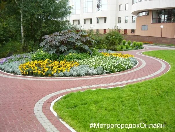 Дизайн пришкольной территории